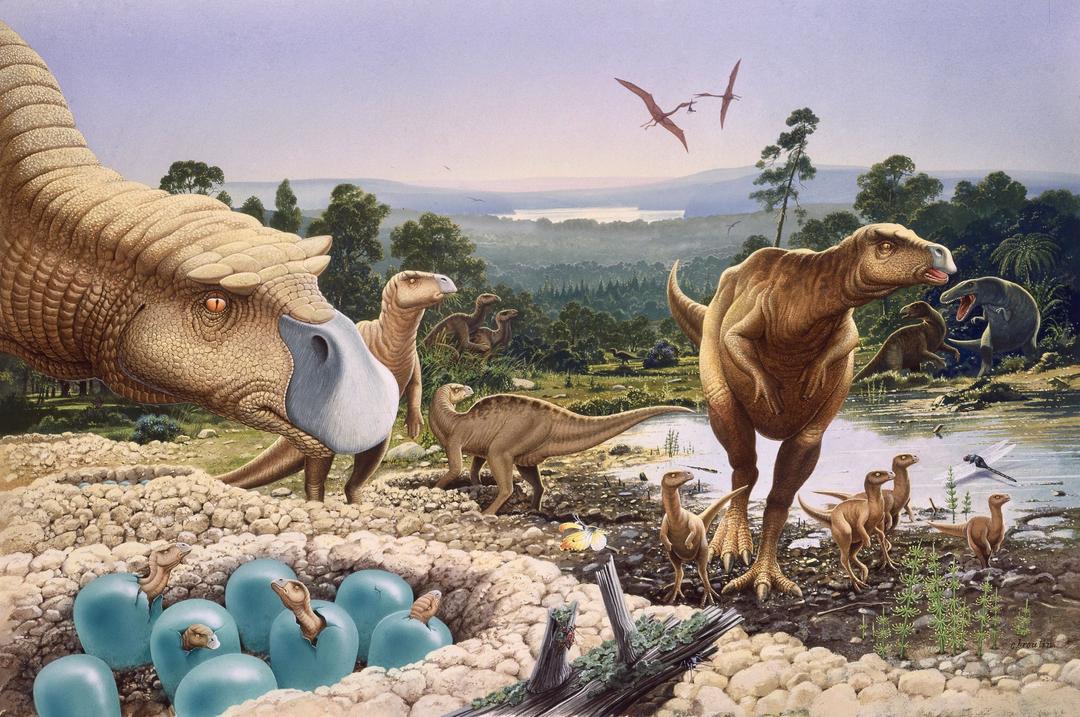 Les dinosaures. Les nids. Gallimard